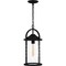 Quoizel Reece Outdoor Hanging 1 Light Earth Black RCE1909EK - alternate 2